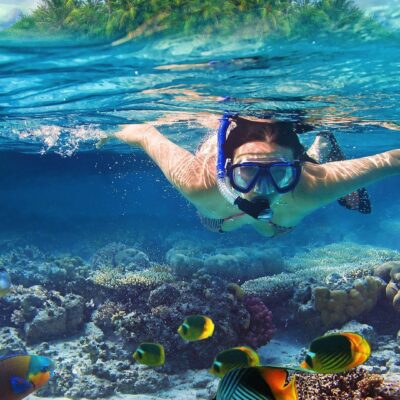 Why You Shouldn’t Ride Elephants In Thailand